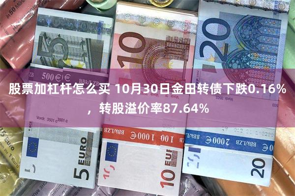 股票加杠杆怎么买 10月30日金田转债下跌0.16%，转股溢价率87.64%