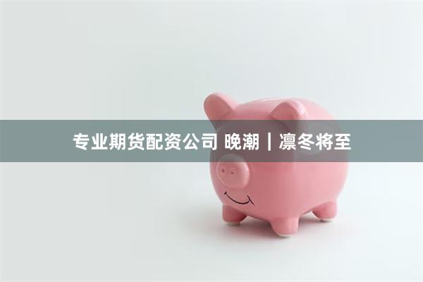 专业期货配资公司 晚潮｜凛冬将至